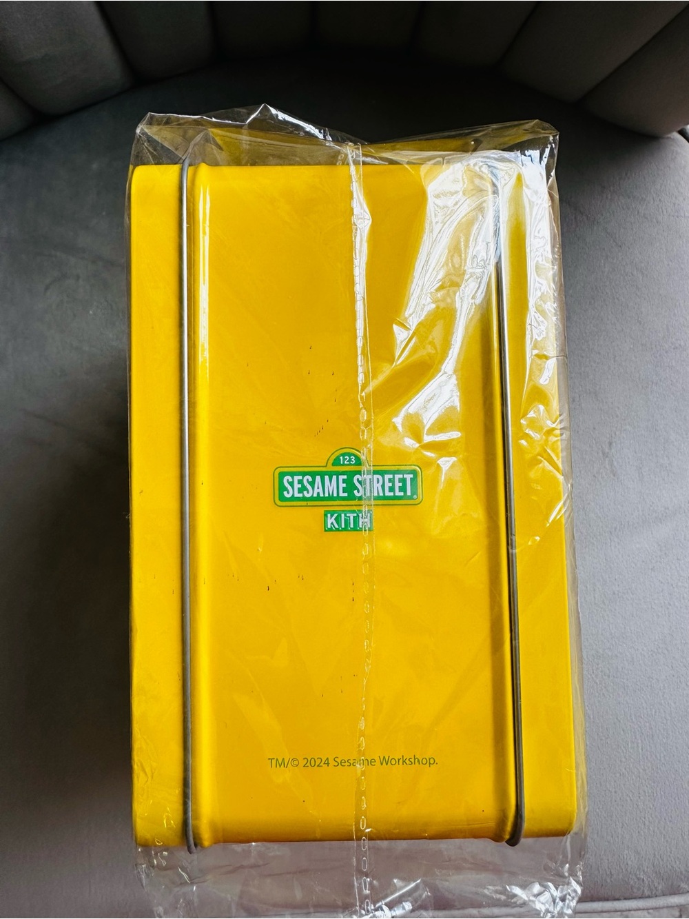 KITH KIDS  2024 x Sesame Street LunchBox - Picture 3 of 4